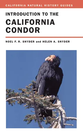 Snyder |  Introduction to the California Condor, 81 | Buch |  Sack Fachmedien