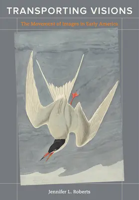Roberts |  Transporting Visions | Buch |  Sack Fachmedien