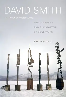 Hamill |  David Smith in Two Dimensions | Buch |  Sack Fachmedien