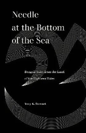 Stewart |  Needle at the Bottom of the Sea | eBook | Sack Fachmedien