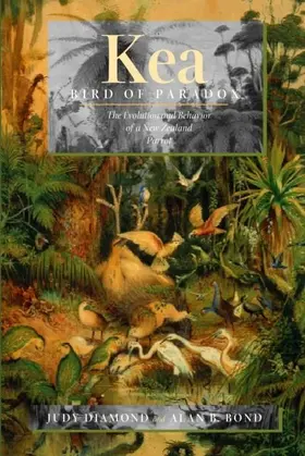 Diamond |  Kea, Bird of Paradox | eBook | Sack Fachmedien