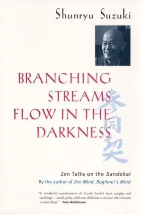 Suzuki / Weitsman / Wenger |  Branching Streams Flow in the Darkness | eBook | Sack Fachmedien