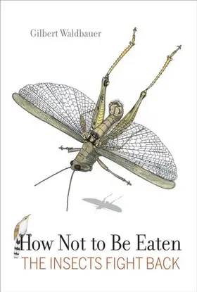 Waldbauer |  How Not to Be Eaten | eBook | Sack Fachmedien