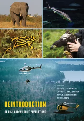 Jachowski / Millspaugh / Angermeier |  Reintroduction of Fish and Wildlife Populations | eBook | Sack Fachmedien