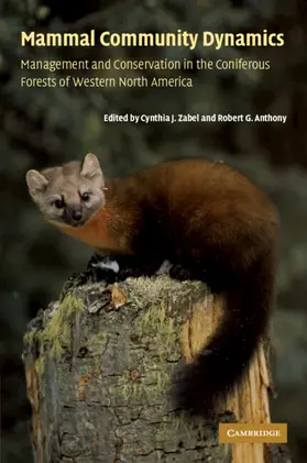 Zabel / Anthony |  Mammal Community Dynamics | Buch |  Sack Fachmedien