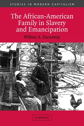 Dunaway / Aymard |  The African-American Family in Slavery and Emancipation | Buch |  Sack Fachmedien
