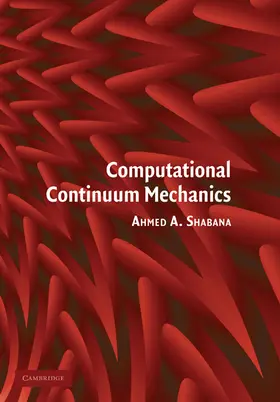 Shabana | Computational Continuum Mechanics | Buch | 978-0-521-17438-1 | sack.de