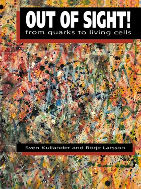 Kullander / Larsson |  Out of Sight! | Buch |  Sack Fachmedien