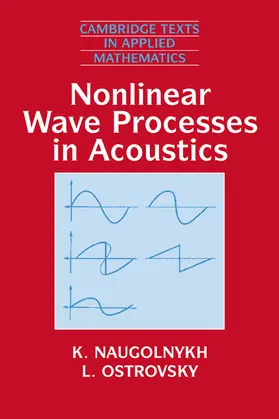 Naugolnykh / Ostrovsky |  Nonlinear Wave Processes in Acoustics | Buch |  Sack Fachmedien
