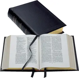 Lectern Bible-REB-apocrypha | Buch | 978-0-521-50729-5 | sack.de