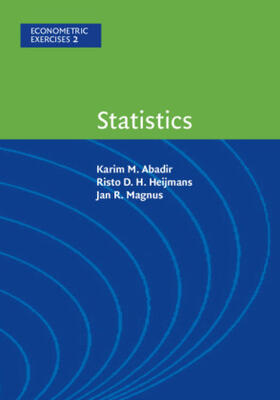 Abadir / Heijmans / Magnus |  Statistics | Buch |  Sack Fachmedien