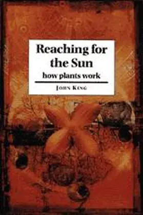 King |  Reaching for the Sun | Buch |  Sack Fachmedien