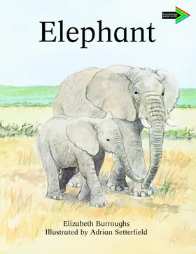 Rose |  The Lion and the Mouse South African Edition | Buch |  Sack Fachmedien