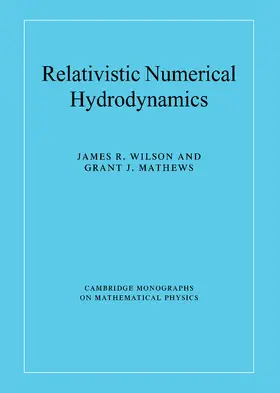 Wilson / Mathews |  Relativistic Numerical Hydrodynamics | Buch |  Sack Fachmedien