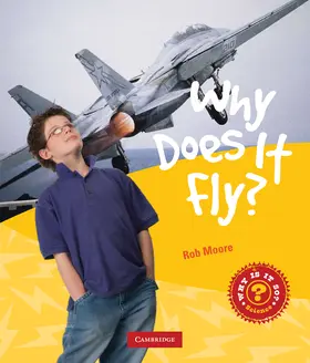 Moore |  Why Does It Fly? | Buch |  Sack Fachmedien