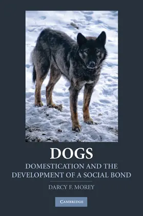 Morey |  Dogs | Buch |  Sack Fachmedien