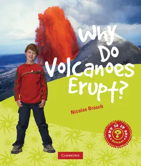 Brasch |  Why Do Volcanoes Erupt? | Buch |  Sack Fachmedien