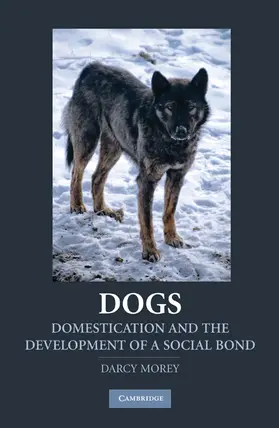 Morey |  Dogs | Buch |  Sack Fachmedien