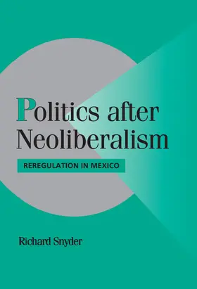Snyder |  Politics after Neoliberalism | Buch |  Sack Fachmedien