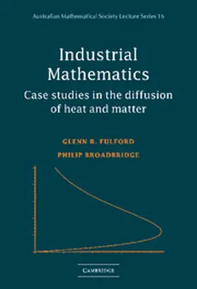Fulford / Broadbridge |  Industrial Mathematics | Buch |  Sack Fachmedien