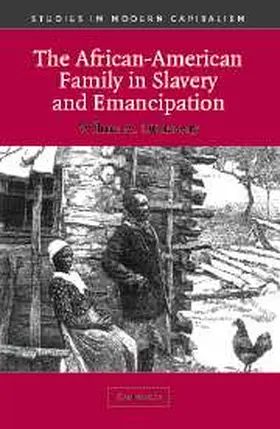 Dunaway |  The African-American Family in Slavery and Emancipation | Buch |  Sack Fachmedien