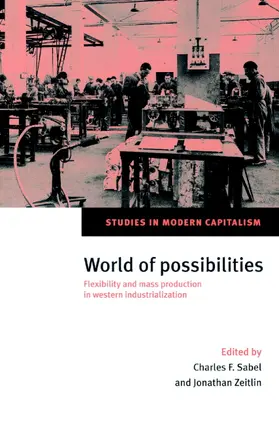 Sabel / Zeitlin / Aymard |  World of Possibilities | Buch |  Sack Fachmedien