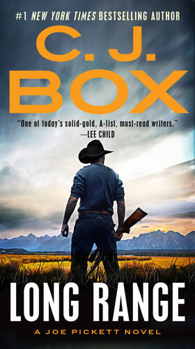 Box |  Long Range | Buch |  Sack Fachmedien
