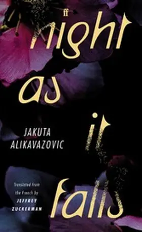 Alikavazovic |  Night as It Falls | eBook | Sack Fachmedien