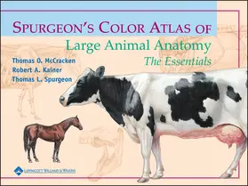 McCracken / Kainer / Spurgeon |  Spurgeon's Color Atlas of Large Animal Anatomy | Buch |  Sack Fachmedien