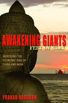 Bardhan |  Awakening Giants, Feet of Clay | Buch |  Sack Fachmedien