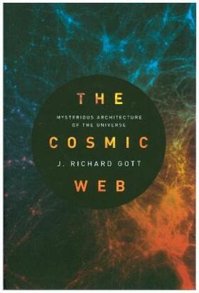Gott | The Cosmic Web | Buch | 978-0-691-18117-2 | www2.sack.de