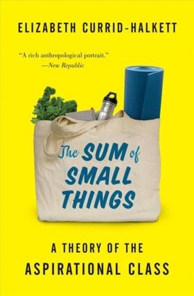 Currid-Halkett | The Sum of Small Things | Buch | 978-0-691-18317-6 | sack.de