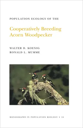 Koenig / Mumme |  Population Ecology of the Cooperatively Breeding Acorn Woodpecker | eBook | Sack Fachmedien