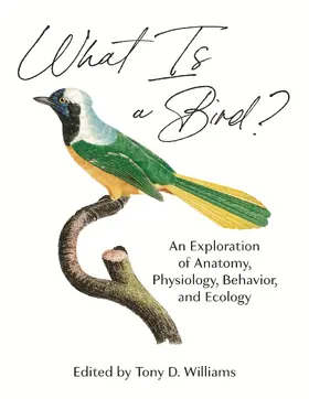 Williams |  What Is a Bird? | eBook | Sack Fachmedien