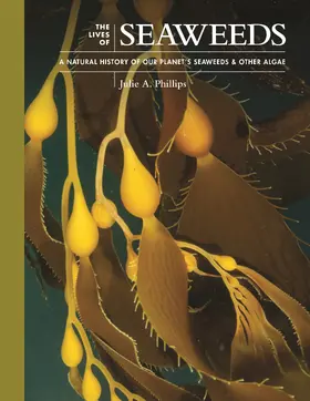 Phillips |  The Lives of Seaweeds | eBook | Sack Fachmedien