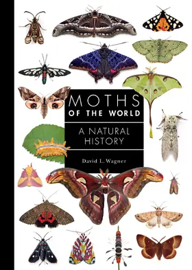 Wagner |  Moths of the World | eBook | Sack Fachmedien