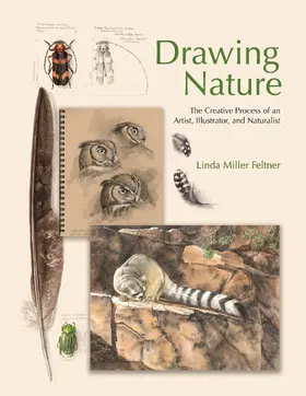 Feltner |  Drawing Nature | eBook | Sack Fachmedien