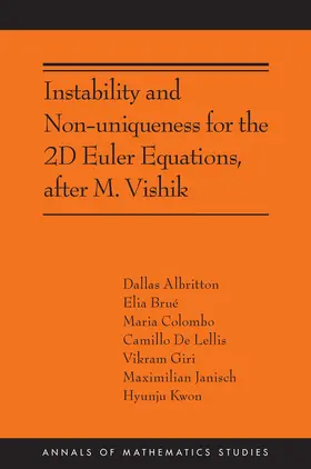 Lellis / Brué / Albritton |  Instability and Non-uniqueness for the 2D Euler Equations, after M. Vishik | eBook | Sack Fachmedien