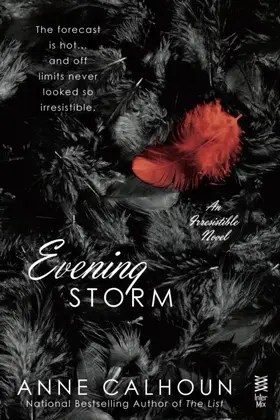 Calhoun |  Evening Storm | eBook | Sack Fachmedien