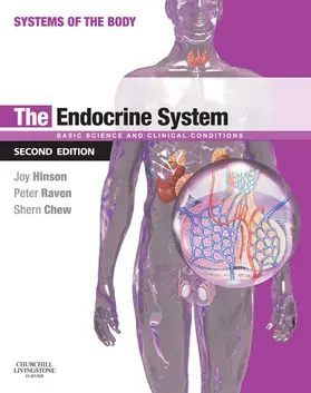 Raven / Chew BSc |  The Endocrine System | eBook | Sack Fachmedien