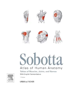 Paulsen / Waschke |  Sobotta Tables of Muscles, Joints and Nerves, English | Buch |  Sack Fachmedien