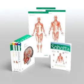 Paulsen / Waschke |  Sobotta Atlas of Anatomy, Package, 17th ed., English/Latin | Buch |  Sack Fachmedien