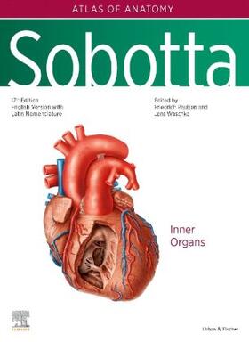 Paulsen / Waschke |  Sobotta Atlas of Anatomy, Vol. 2, 17th ed., English/Latin | Buch |  Sack Fachmedien