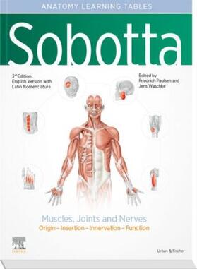 Waschke / Paulsen |  Sobotta Learning Tables of Muscles, Joints and Nerves, English/Latin | Buch |  Sack Fachmedien