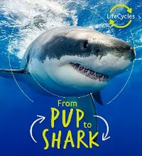De La Bedoyere |  Lifecycles - Pup To Shark | eBook | Sack Fachmedien