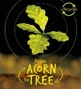 De La Bedoyere |  Lifecycles - Acorn to Tree | eBook | Sack Fachmedien