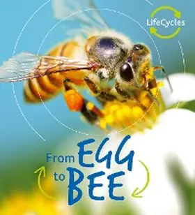 De La Bedoyere |  Lifecycles: Egg to Bee | eBook | Sack Fachmedien