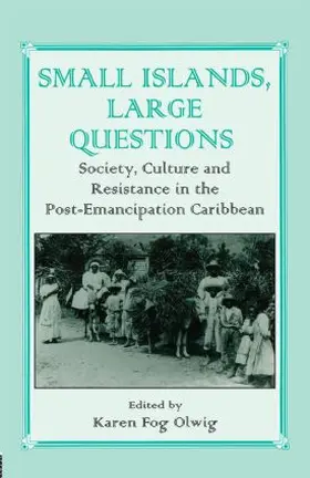 Olwig |  Small Islands, Large Questions | Buch |  Sack Fachmedien