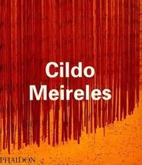 Borges / Cameron / Herkenhoff |  Cildo Meireles | Buch |  Sack Fachmedien