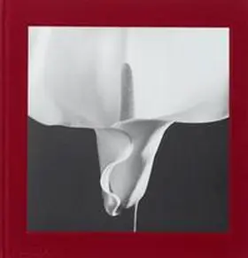 Holborn | Mapplethorpe Flora | Buch | 978-0-7148-7131-8 | sack.de